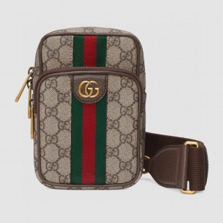 2023.6.13 Authentic Gucci Bag 062