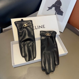 2023.12.25 Celine Gloves 007